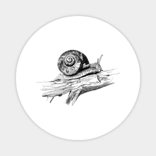 Garden Snail Ink Drawing Magnet